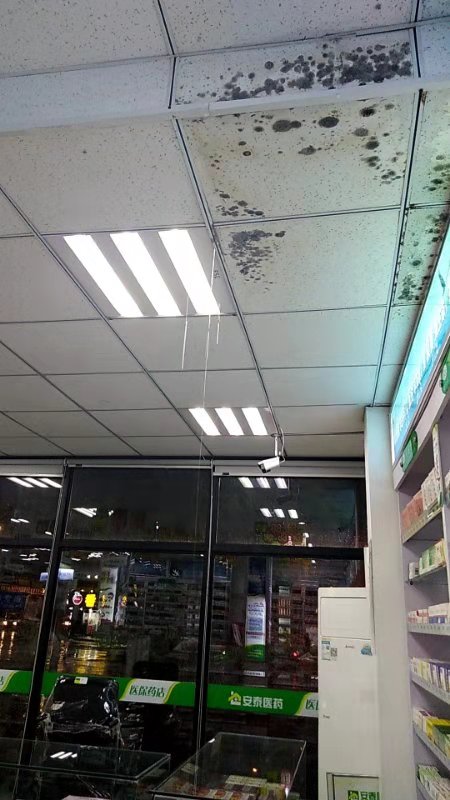 mmexport1565138981483.jpg