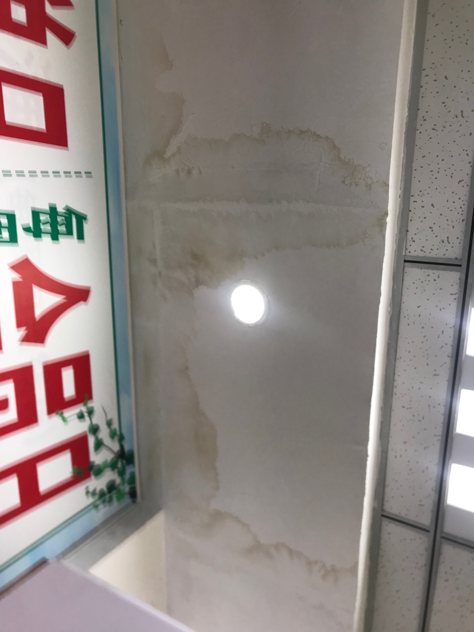 雄鹰2.jpg