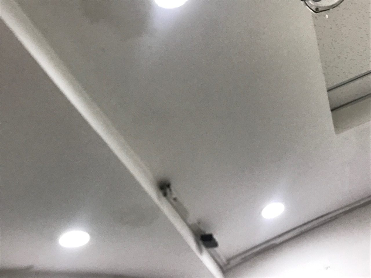 雄4.jpg