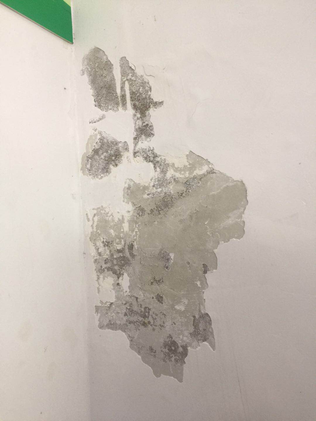 东都汇2.jpg