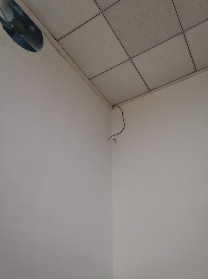 eae90e38-e3b6-468e-93ac-4714b83498a2-63151.jpg