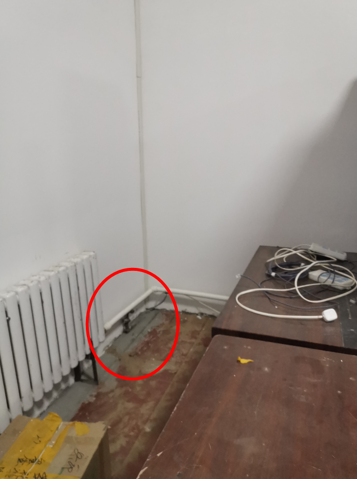 2240e5dd-3d4e-4577-944e-062393979ada-63151.jpg
